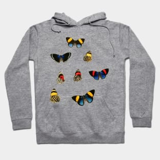 Butterflies Hoodie